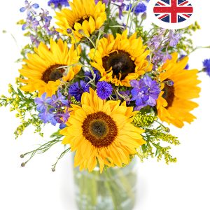 British Summer Meadow